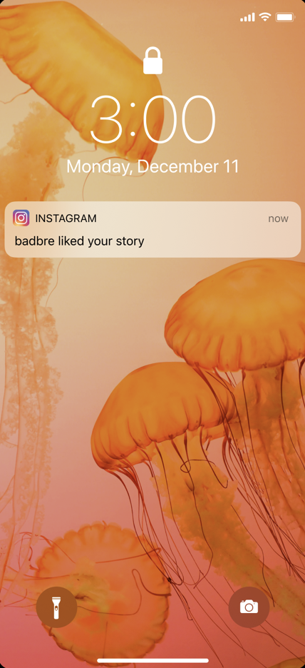 Push Notification